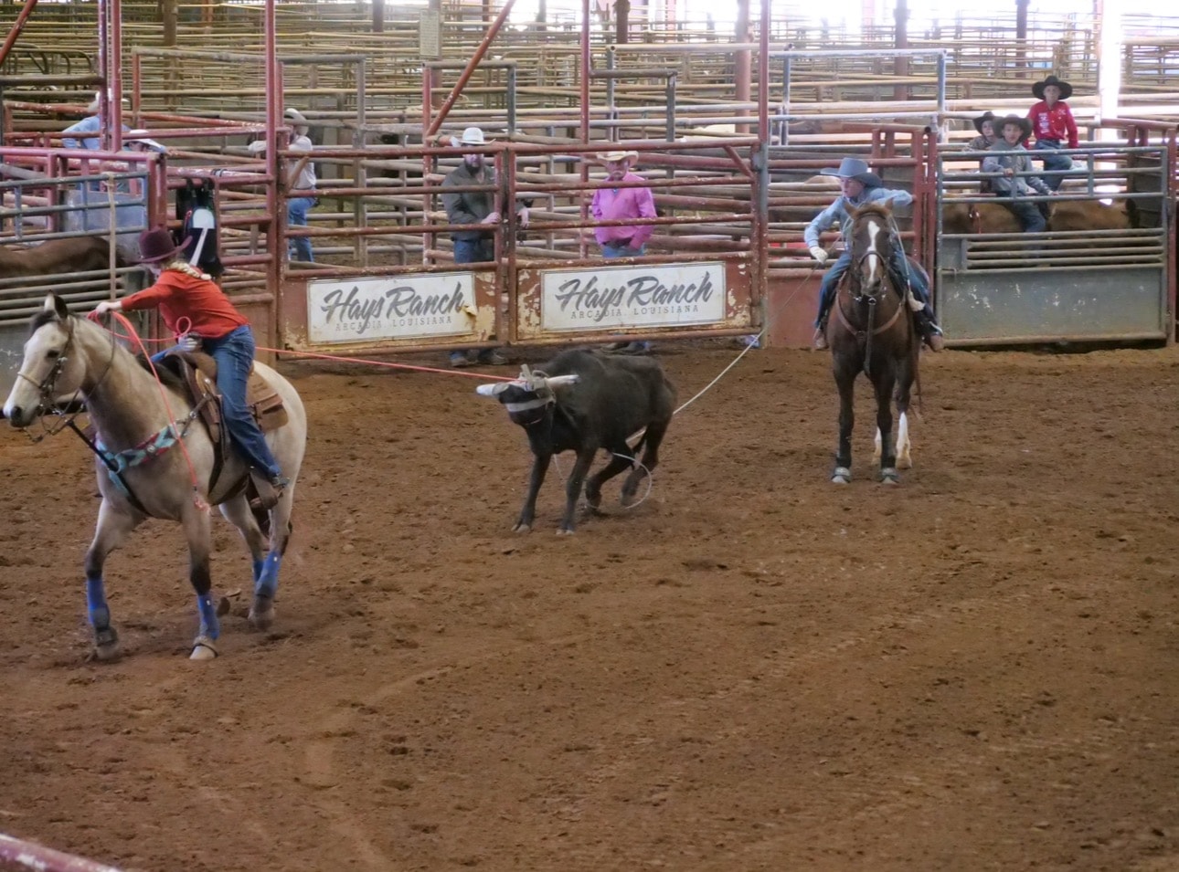 Team Roping